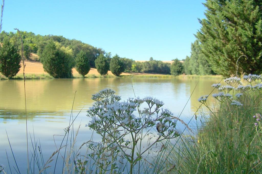 Seysses-Saves Chambre D'Hotes Le Moulin D'Encor المظهر الخارجي الصورة
